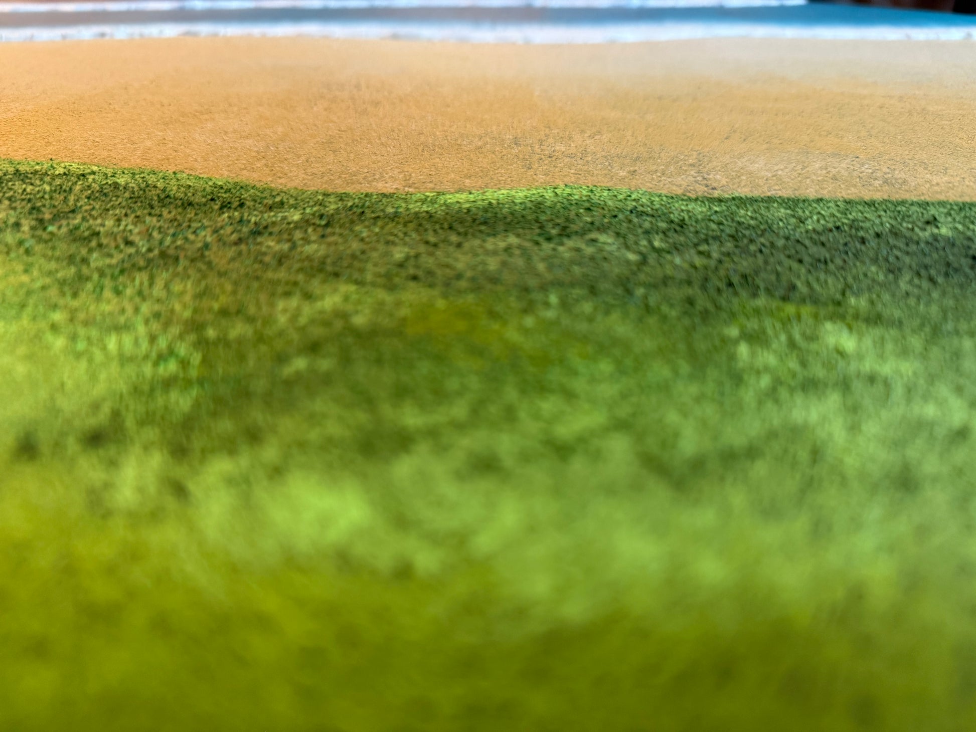 Close-up of green and brown textured surface